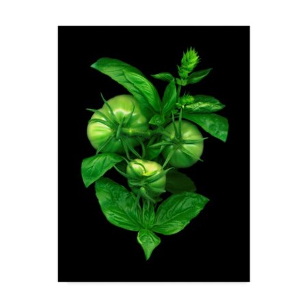 Susan S. Barmon 'Green Tomato And Basil' Canvas Art,14x19